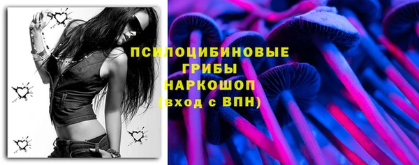 молекула духа Алзамай