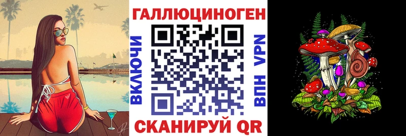 цены   Курчалой  blacksprut онион  Галлюциногенные грибы GOLDEN TEACHER 